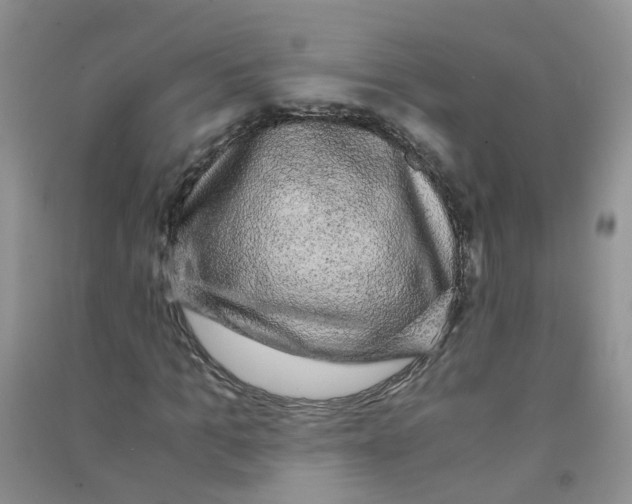 X0000090700965200708171843