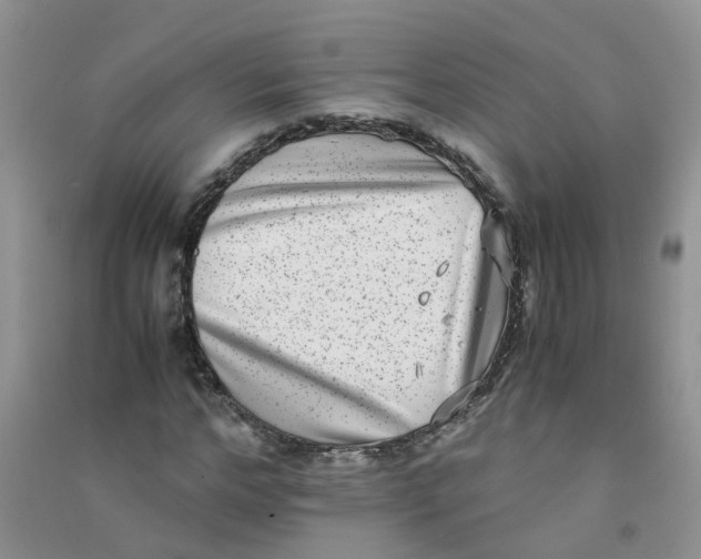 X0000090700968200708171843