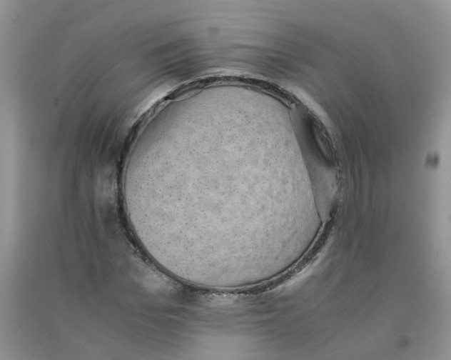 X0000090700969200708171843