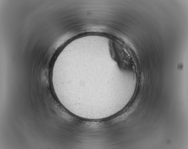 X0000090700970200708171843