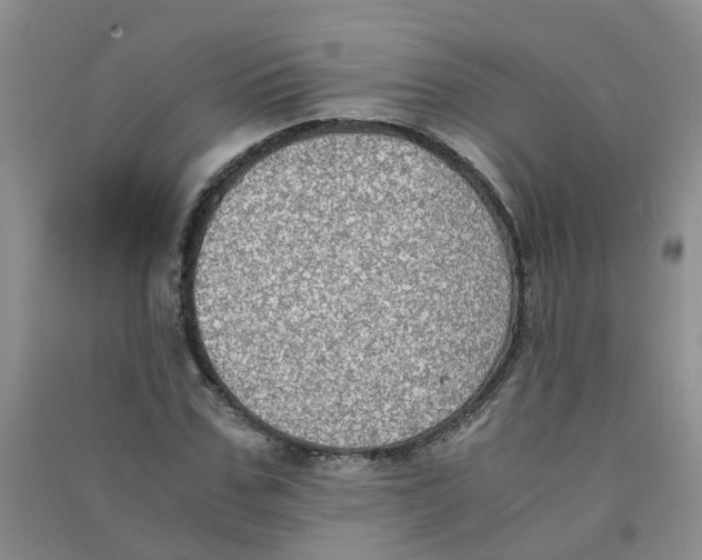 X0000090700971200708171843