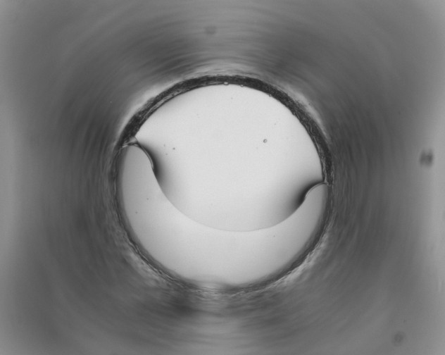 X0000090700973200708171843