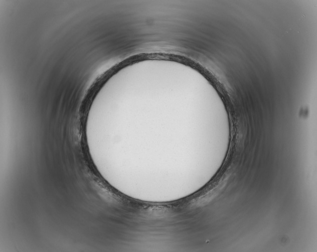 X0000090700974200708171843