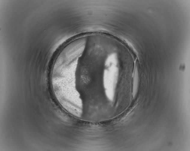 X0000090700975200708171843