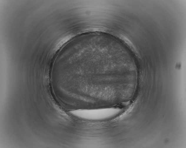 X0000090700977200708171843