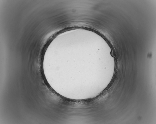 X0000090700979200708171843