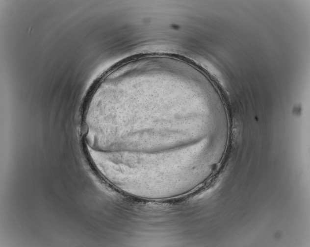 X0000090700981200708171843