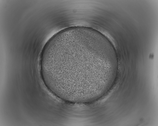 X0000090700983200708171843