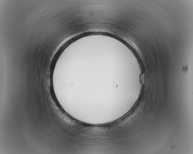 X0000090700984200708171843