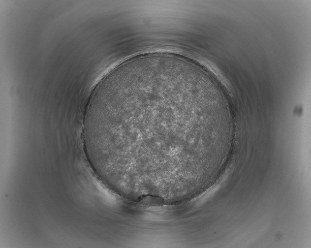 X0000090700985200708171843