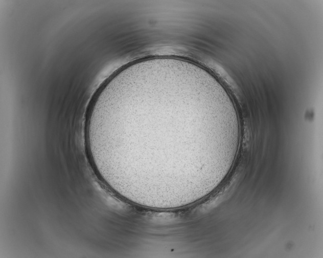 X0000090700986200708171843