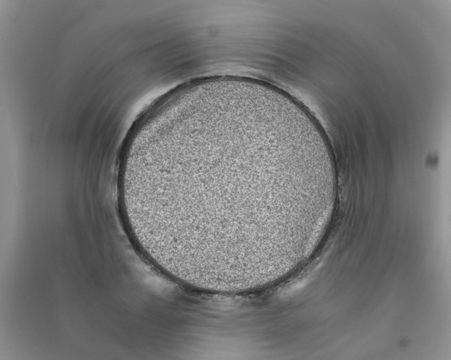 X0000090700987200708171843