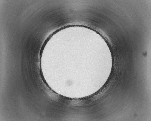 X0000090700988200708171843