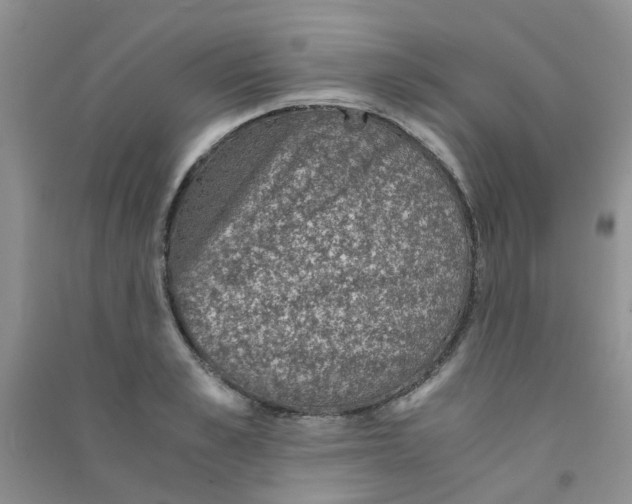 X0000090700989200708171843