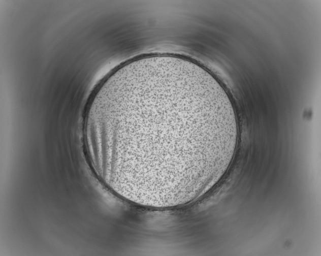 X0000090700990200708171842