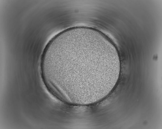 X0000090700991200708171842