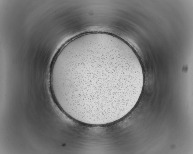 X0000090700992200708171842