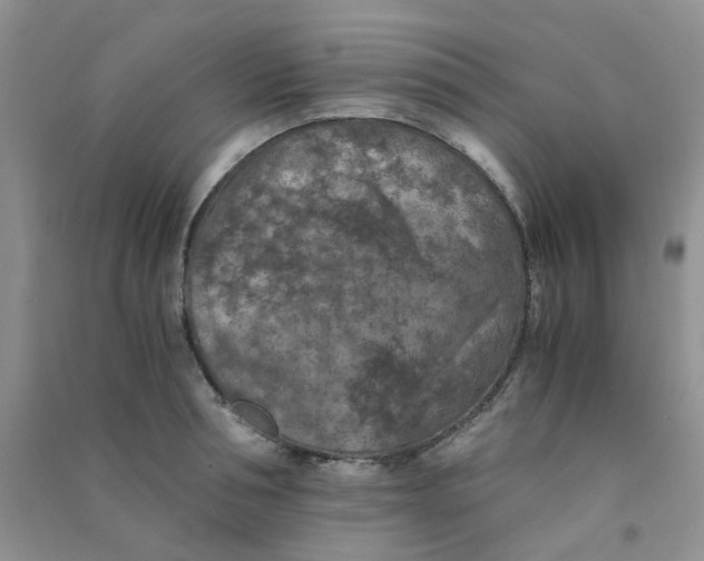 X0000090700994200708171842