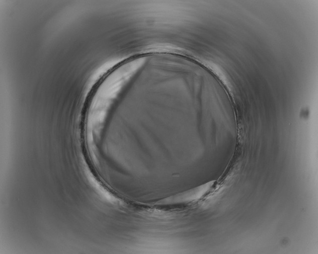 X0000090700995200708171842