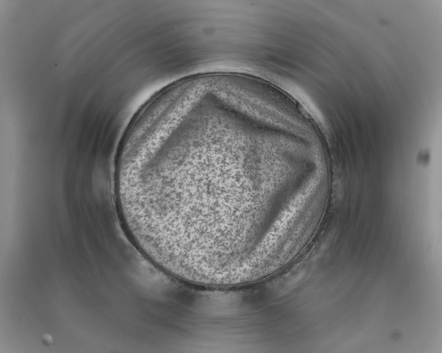 X0000090700996200708171842