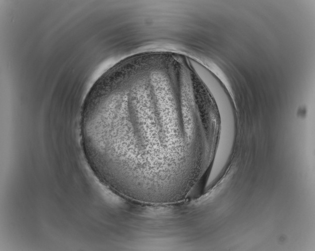 X0000090700997200708171842