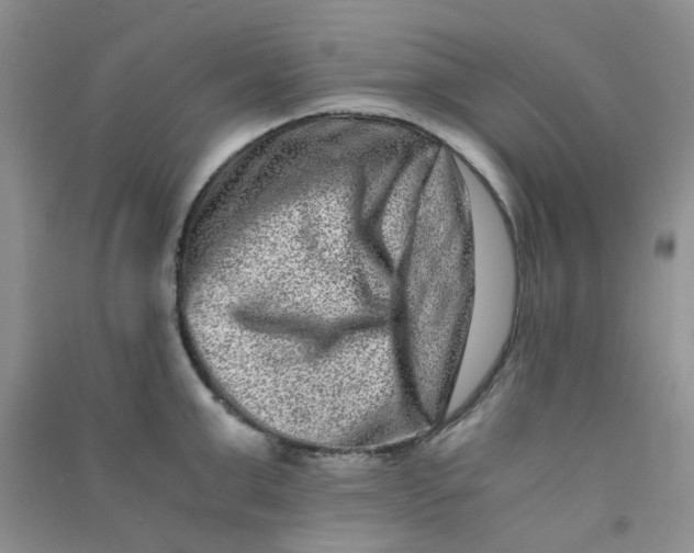 X0000090700999200708171842