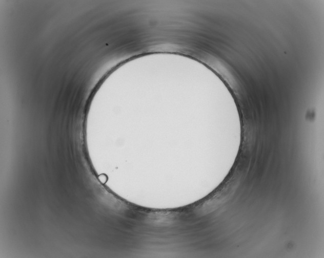 X0000090701000200708171842