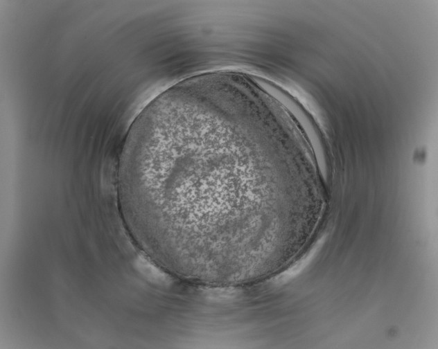 X0000090701001200708171842