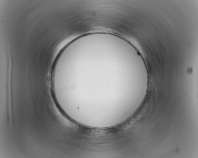 X0000090701003200708171842