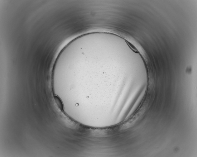 X0000090701004200708171842