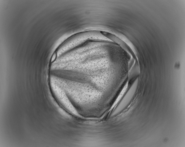 X0000090701005200708171842