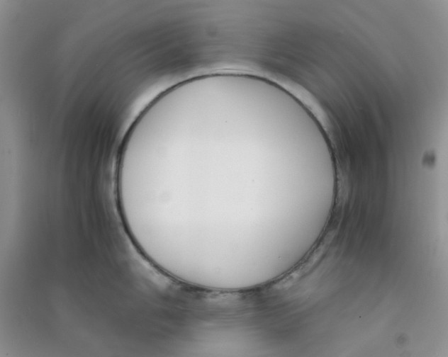 X0000090701006200708171842