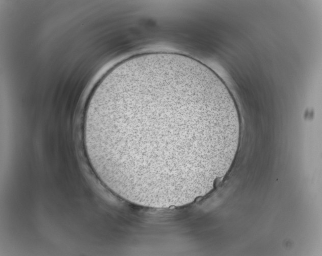 X0000090701008200708171842