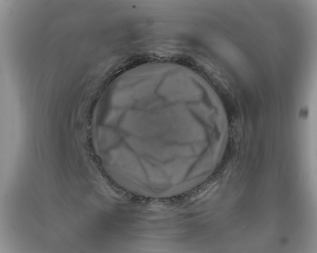 X0000090701009200708171842