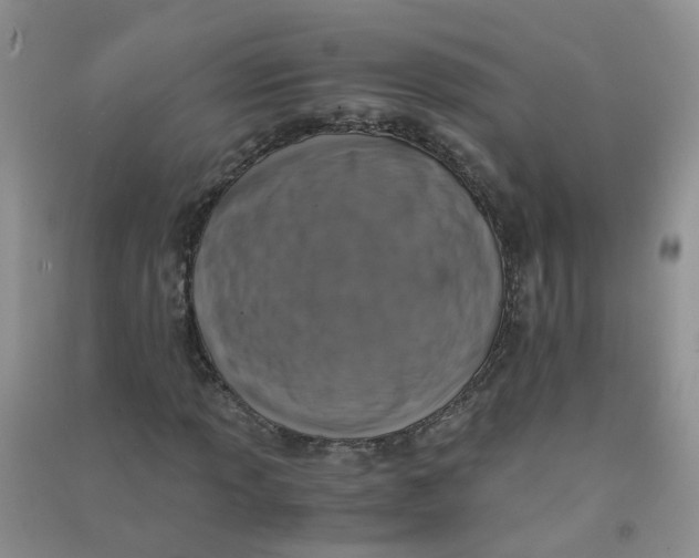 X0000090701013200708171842