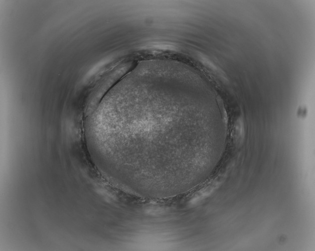 X0000090701014200708171842