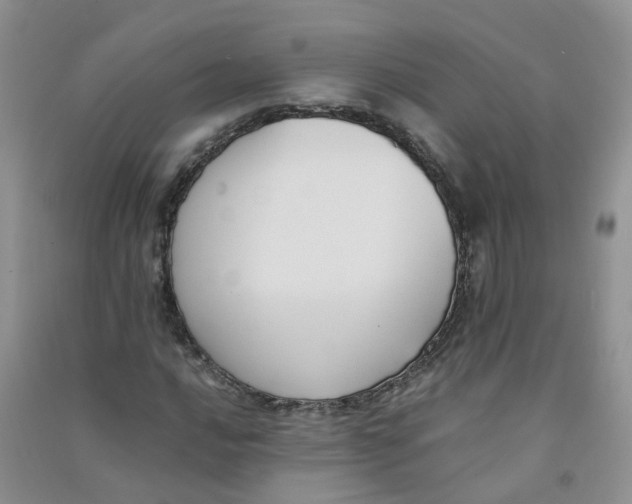 X0000090701016200708171842