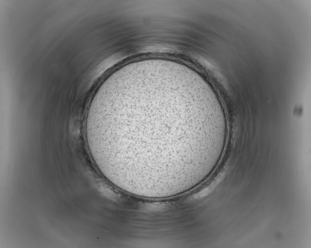 X0000090701017200708171842