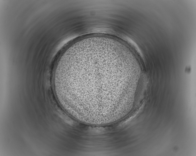 X0000090701019200708171842