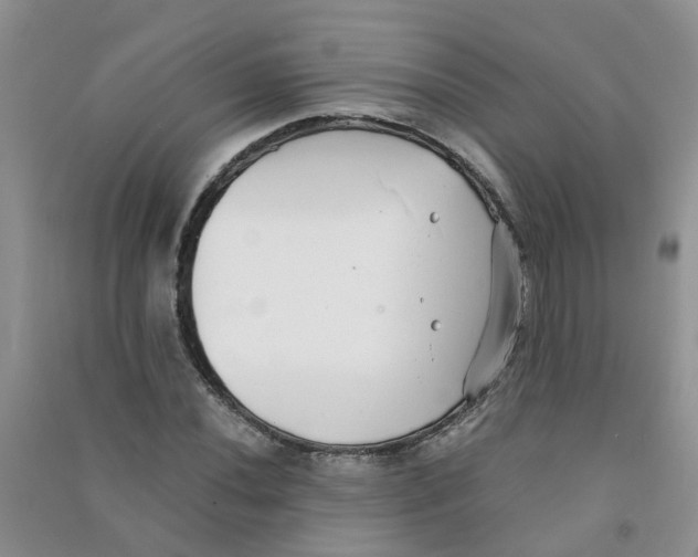 X0000090701020200708171842