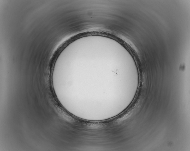 X0000090701021200708171842