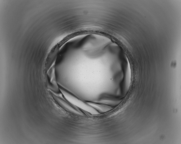 X0000090701022200708171842