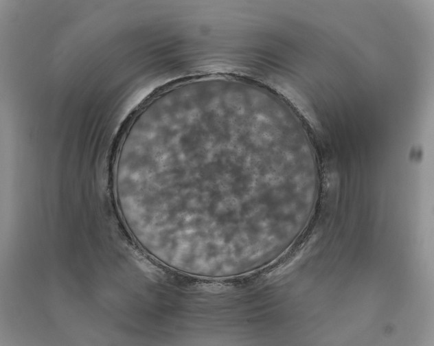 X0000090701023200708171842