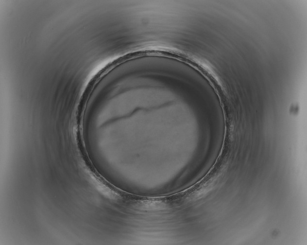 X0000090701024200708171842