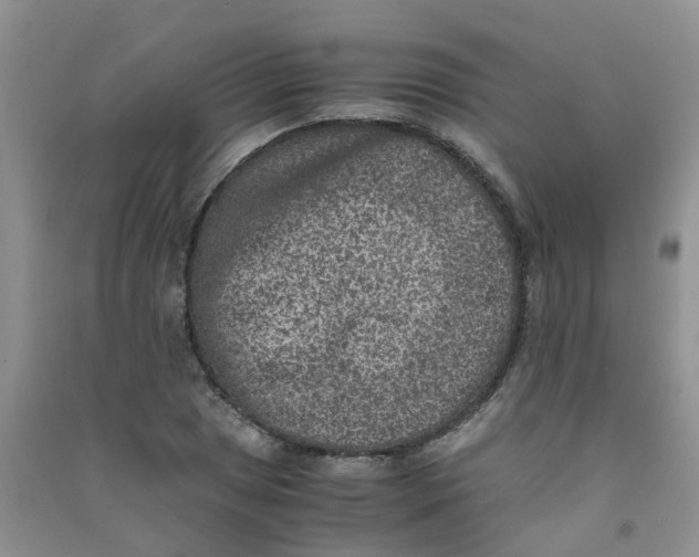 X0000090701025200708171842