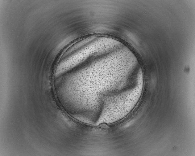 X0000090701026200708171842