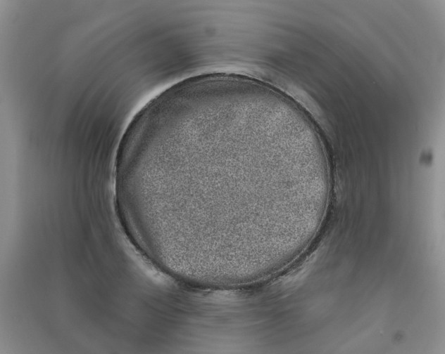 X0000090701028200708171842