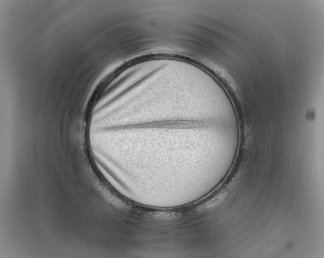 X0000090701029200708171842