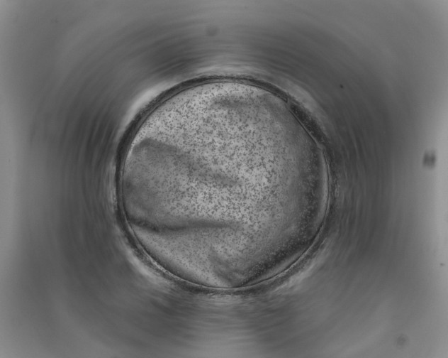 X0000090701030200708171842