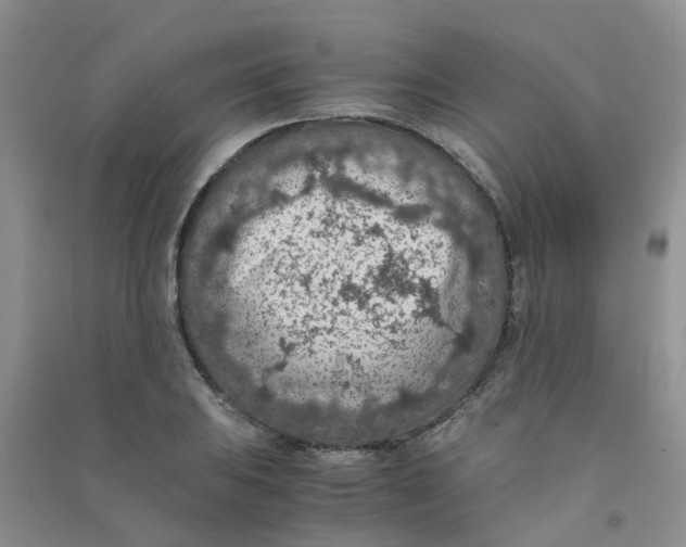 X0000090701031200708171842